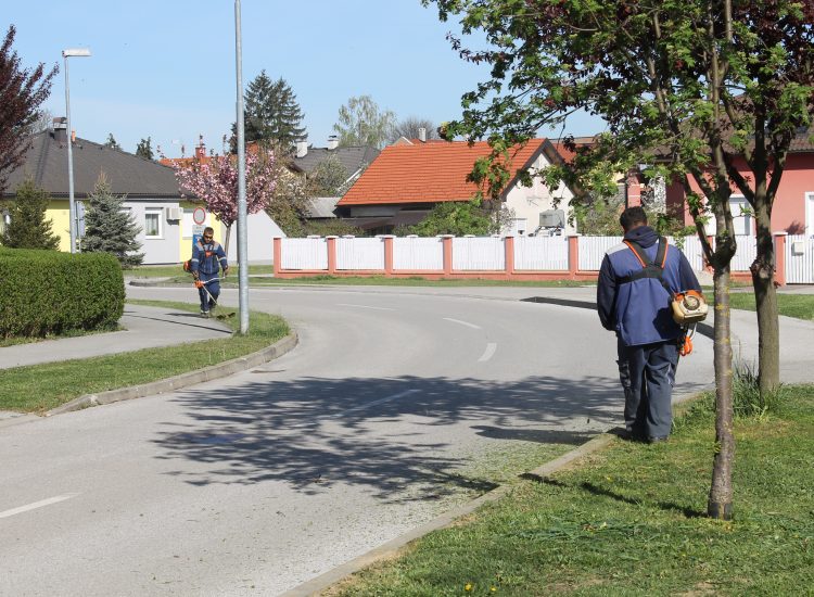 Zelene površine kose se prema planu