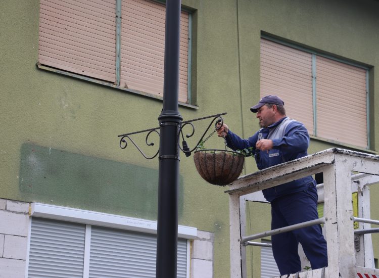 U Ulici Đure Estera postavljene viseće tegle