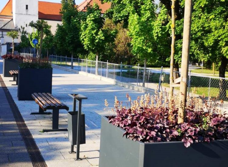 Posađeno cvijeće kod gradske vijećnice