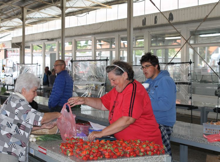 Na Gradskoj tržnici održana licitacija