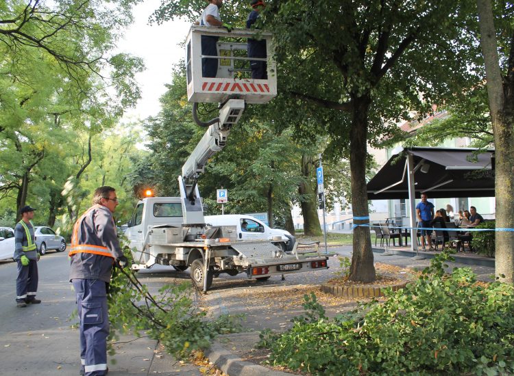 U tijeku je podizanje krošnji u Nemčićevoj ulici