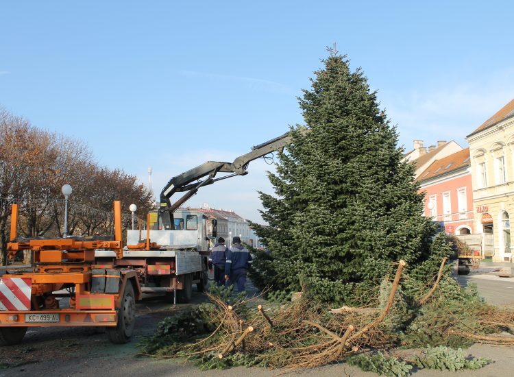 Na Zrinskom i Trgu bana Jelačića postavljena božićna drvca, donirali ih Koprivničanci