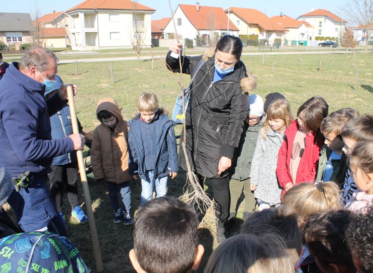 Komunalac s koprivničkim vrtićima započeo akciju ‘Zasadi stablo, ne budi panj’