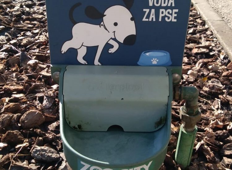 Postavljene pojilice za pse