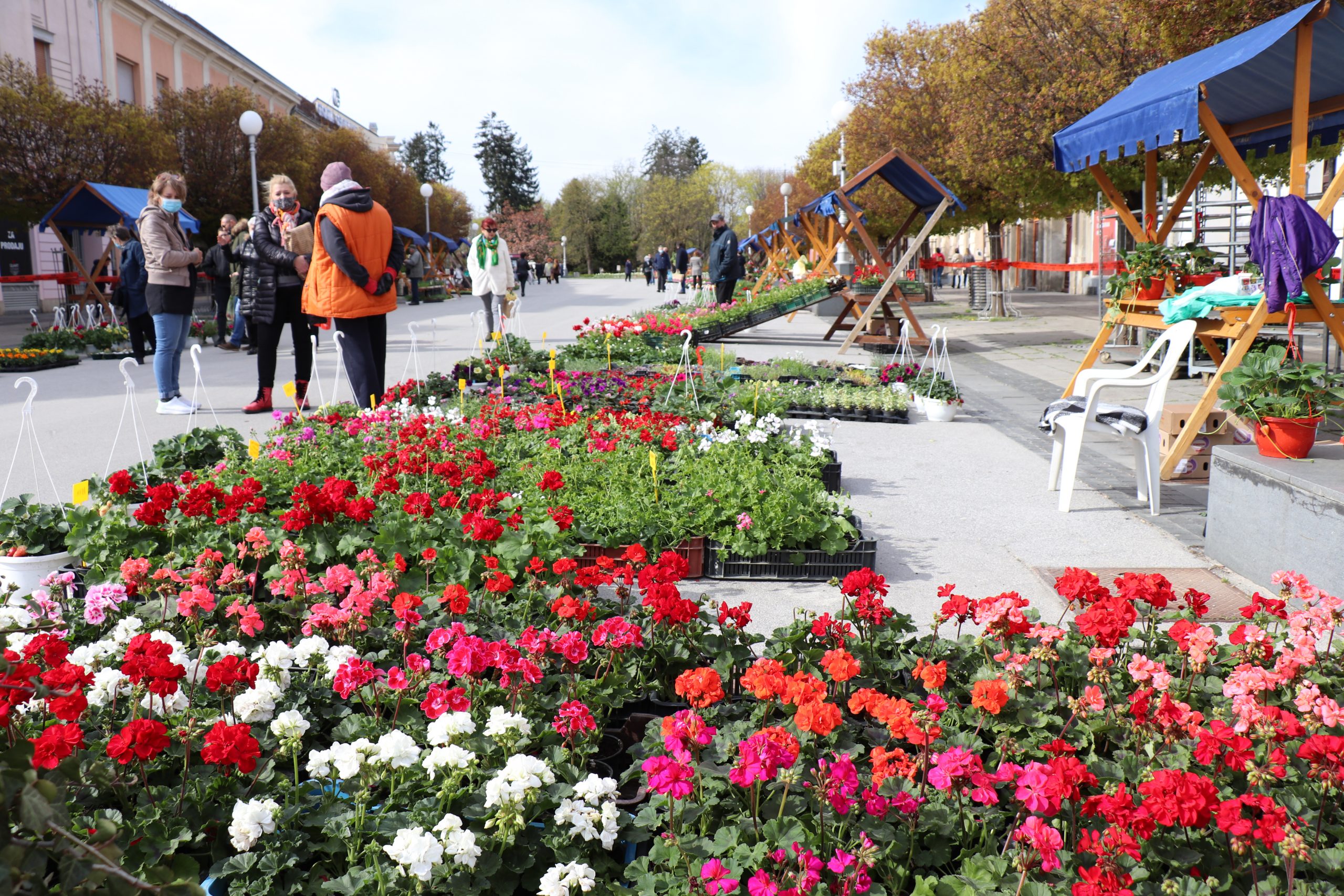 Počela proljetna prodaja cvijeća i presadnica u centru Koprivnice