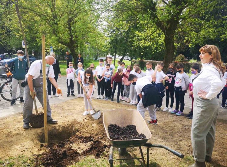 Nova stabla krasit će okoliš škole A.N.Gostovinski