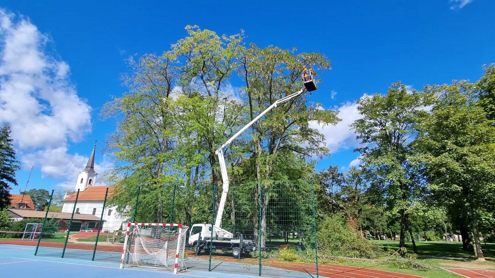 Orezane grane na stablima kod igrališta u parku