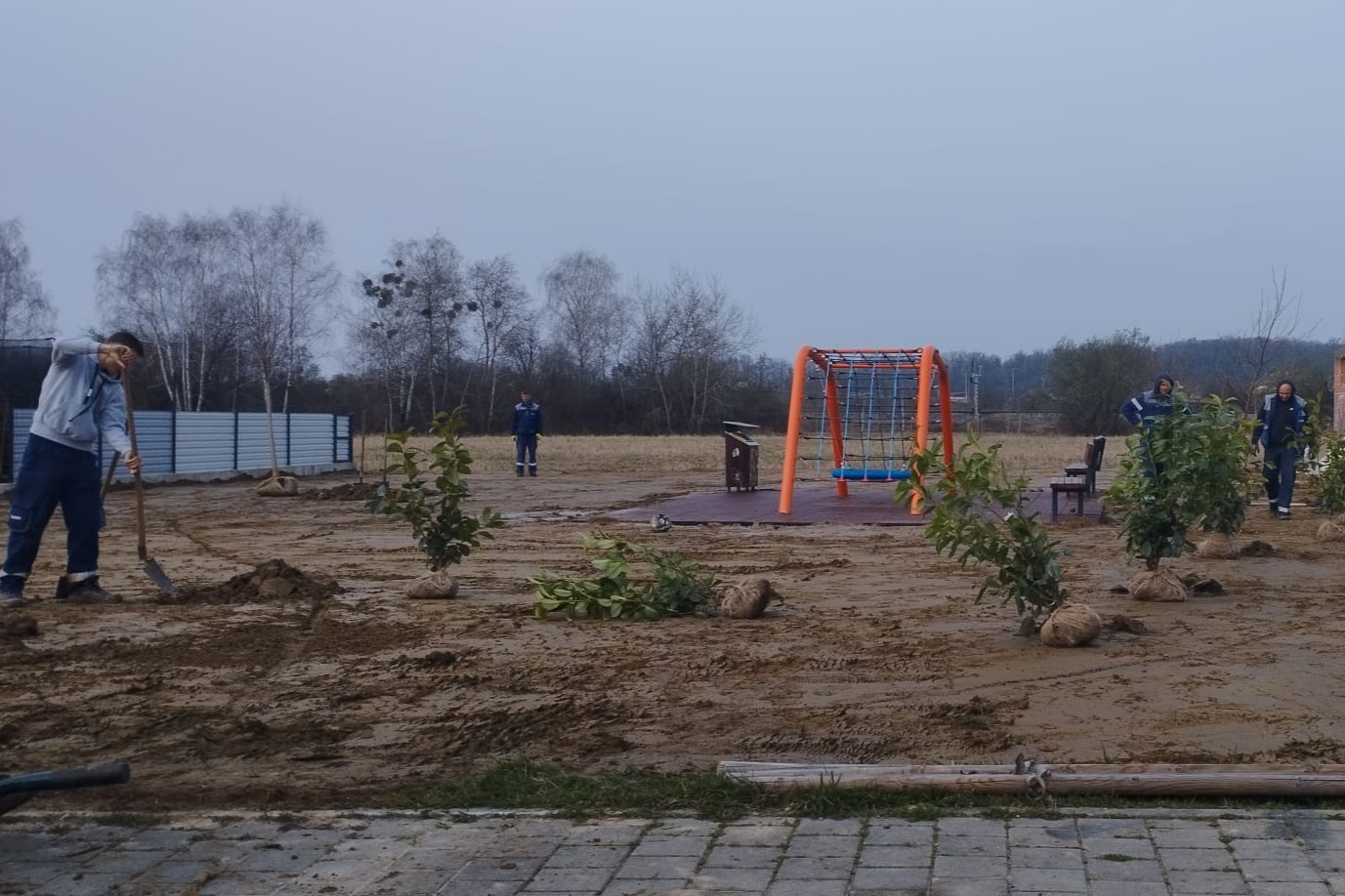 Posađena stabla na dječjem igralištu u Ulici Ruđera Boškovića