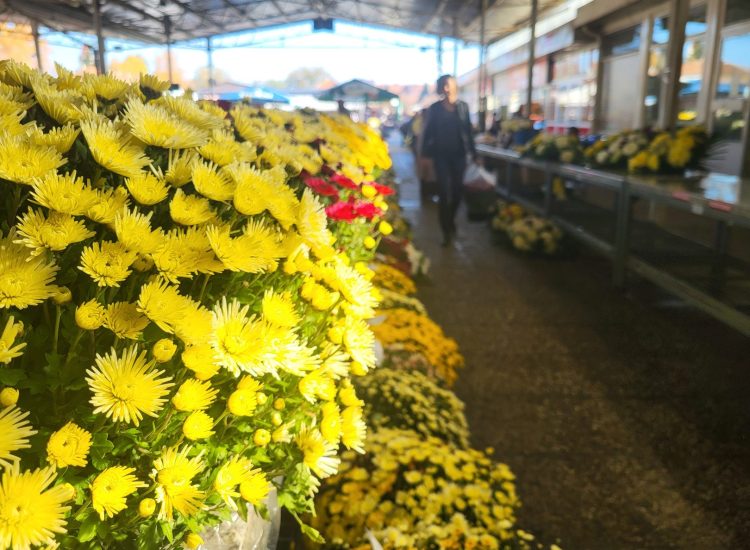 JAVNO NADMETANJE za davanje u zakup prodajnih mjesta (stolovi) na Gradskoj tržnici u Koprivnici – blagdan Svih svetih