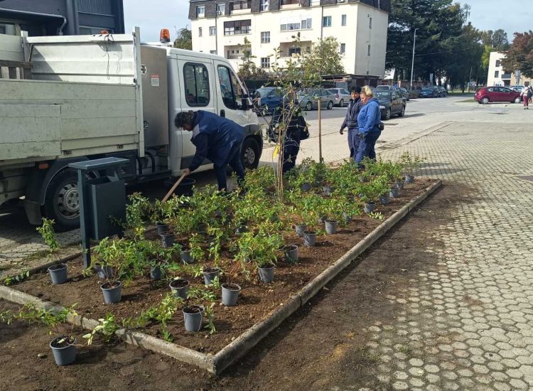 Zeleni pojas u Opatičkoj ulici dobio novi izgled