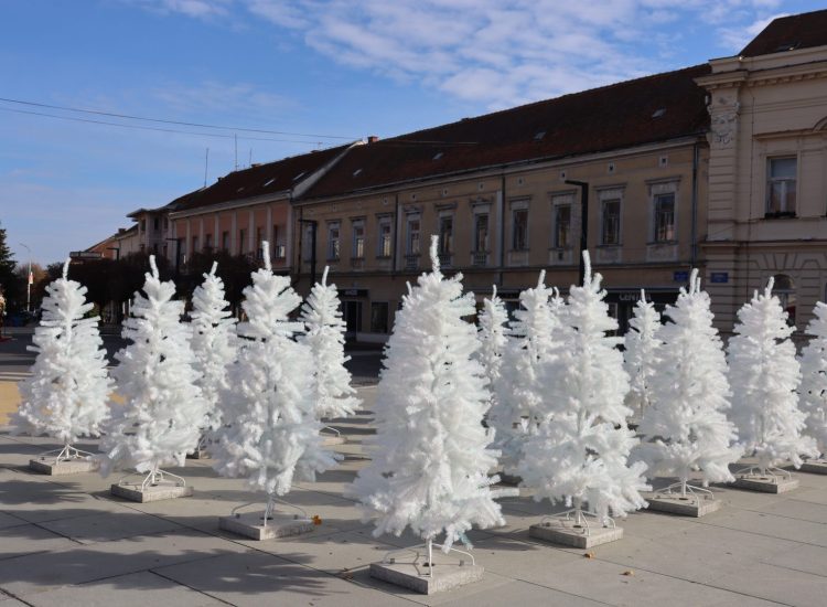 Predstavljena ovogodišnja koprivnička bajka, Komunalac partner u brojnim aktivnostima