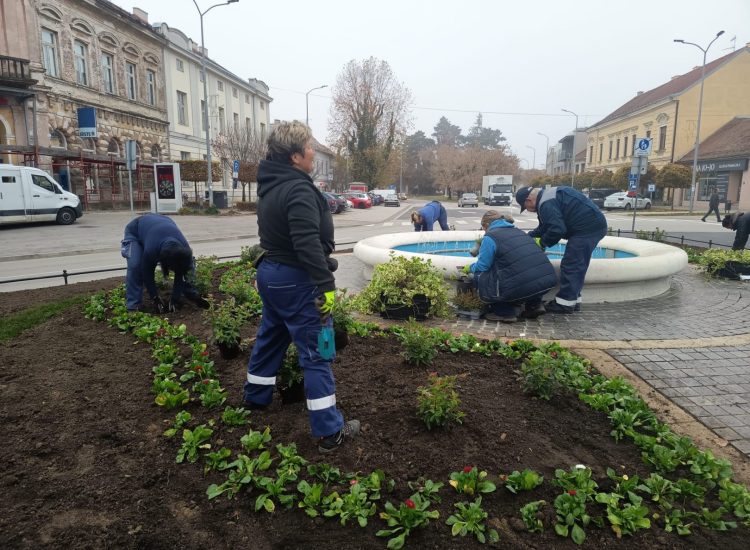 U tijeku je sadnja kod fontane na Zrinskom trgu