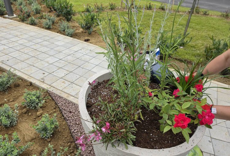 20260617 083347(1)