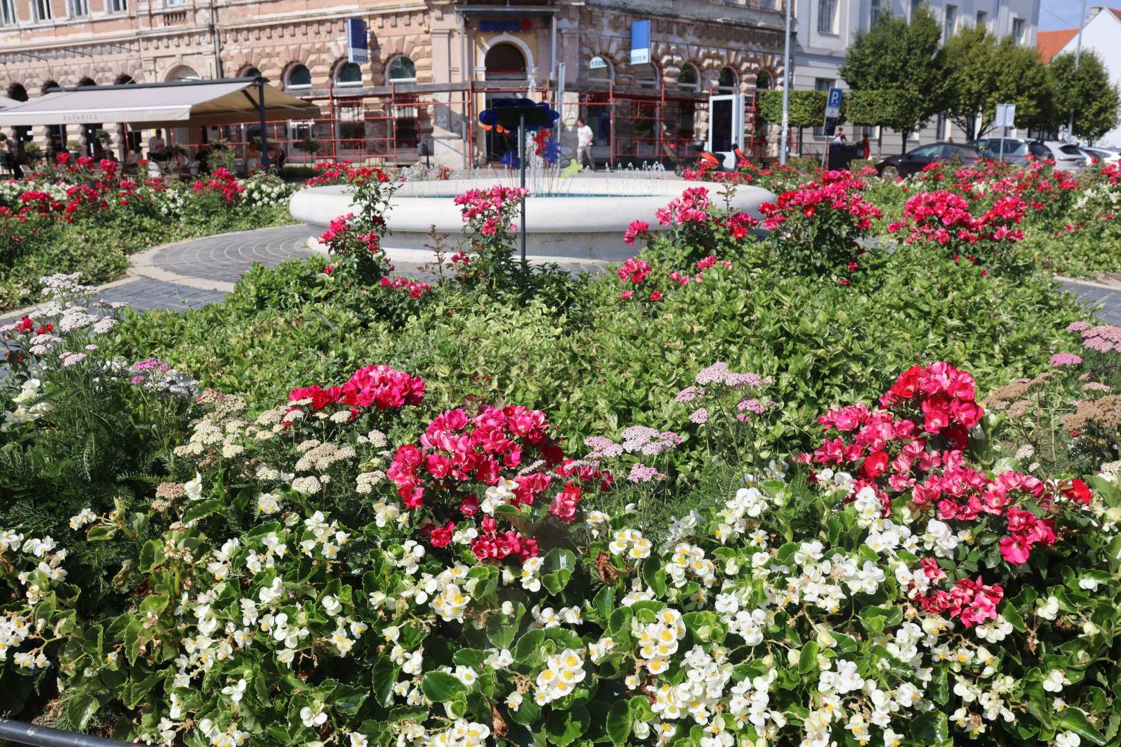 Mala urbana oaza prirode u srcu grada